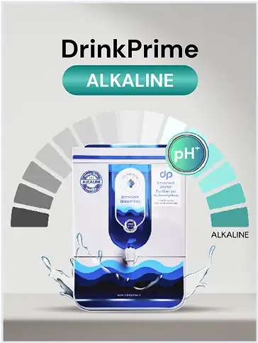 about-dp-alkaline-mob