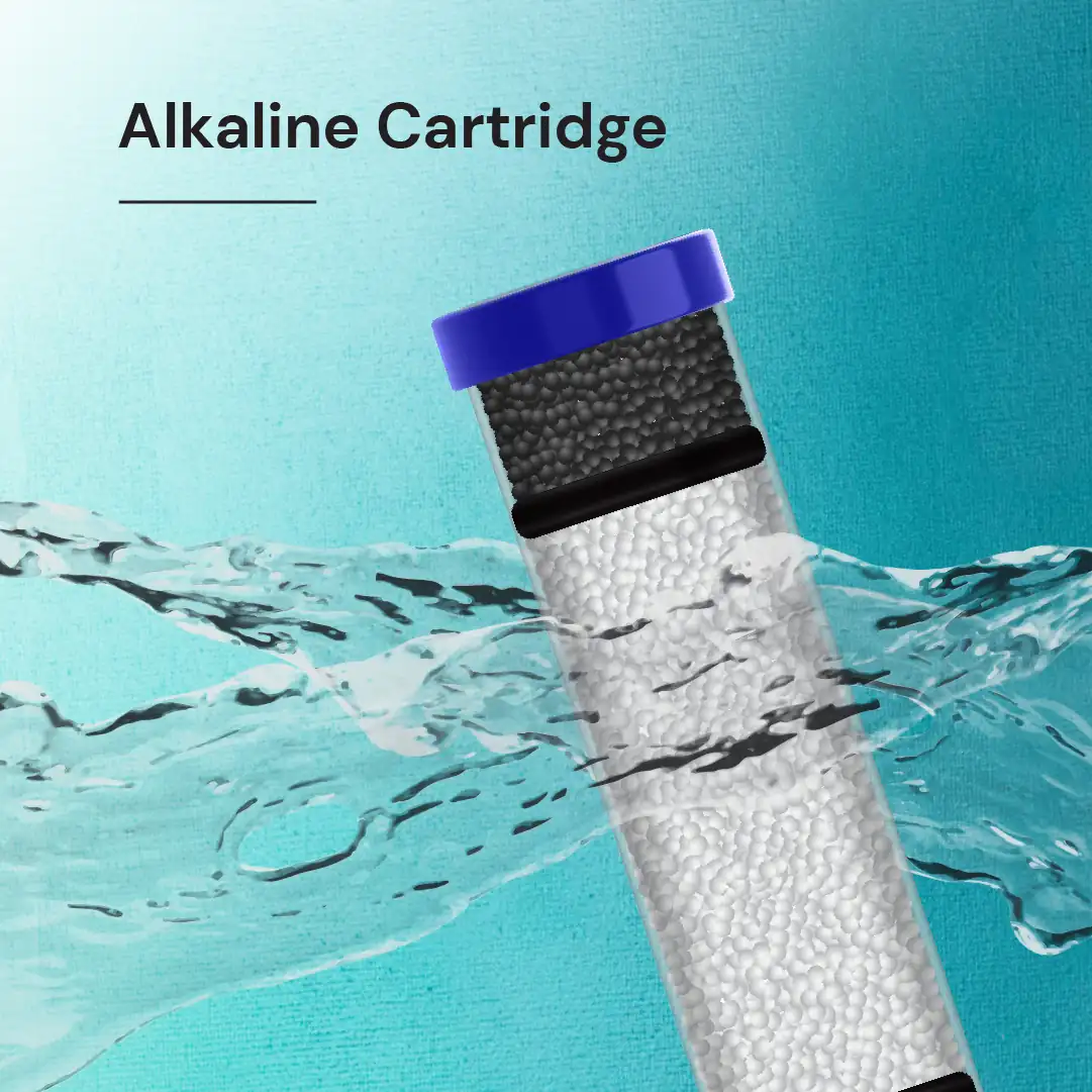 15 LPH Alkaline Water Purification capacity